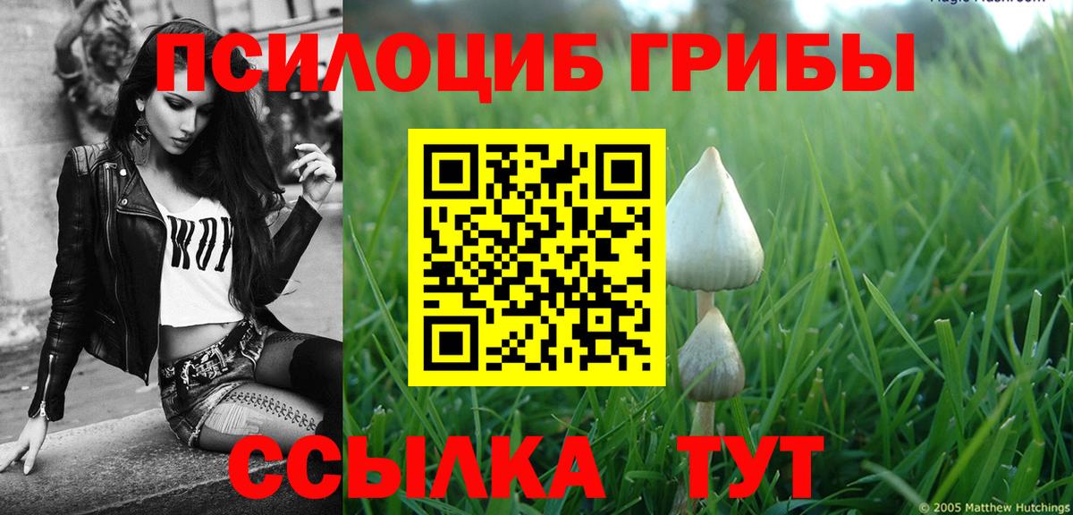 Галлюциногенные грибы Magic Shrooms  Вход с VPN  Братск  Галлюциногенные грибы прущие грибы 