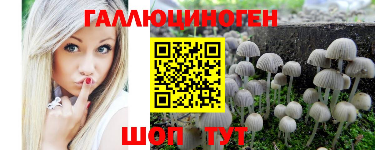 Псилоцибиновые грибы GOLDEN TEACHER Братск